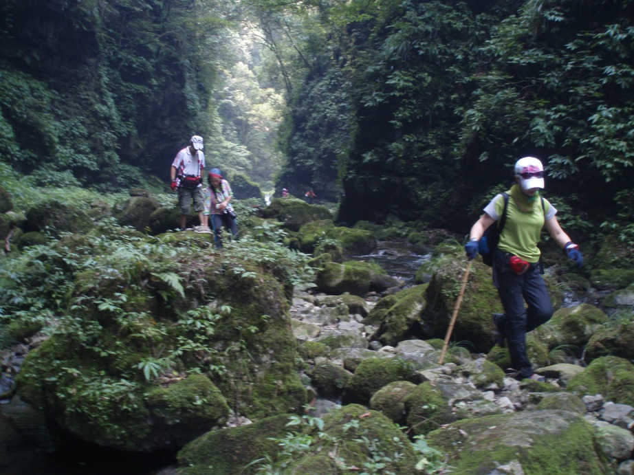 p8130639.jpg
