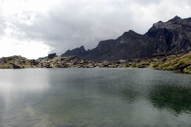 С dsc_0551.jpg