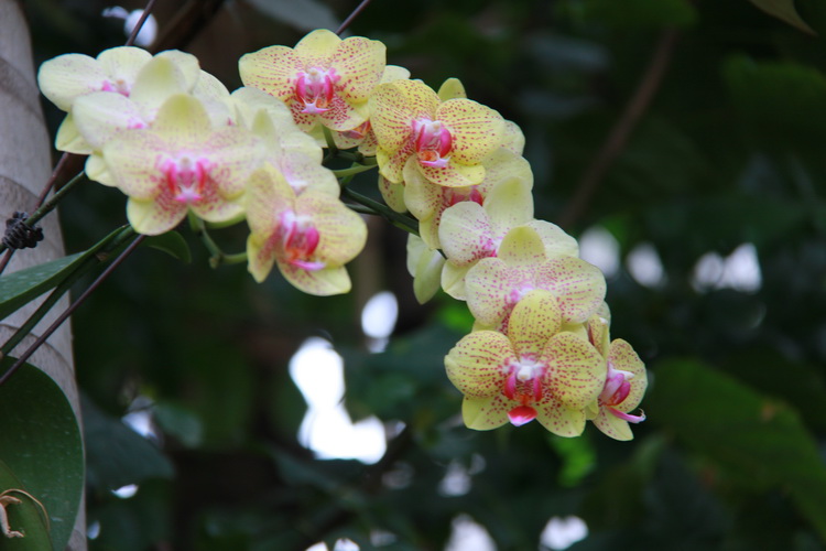 img_4086_调整大小_neo_bak.jpg