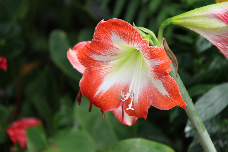 img_4194_调整大小.jpg