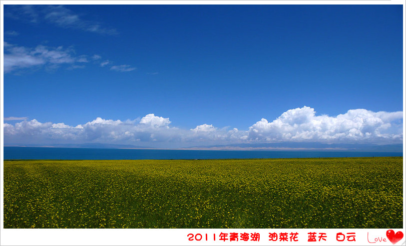 p1130294_.jpg