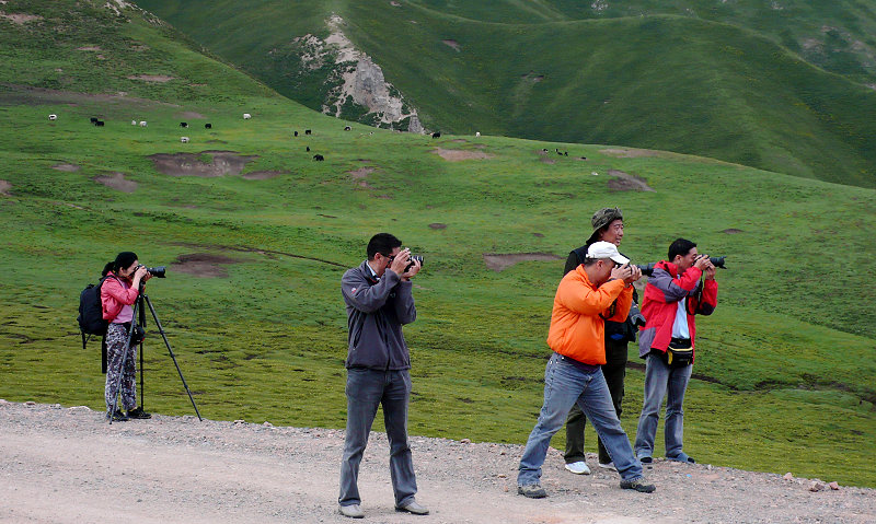p1130431.jpg