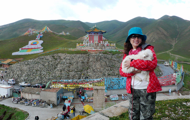 p1130315.jpg