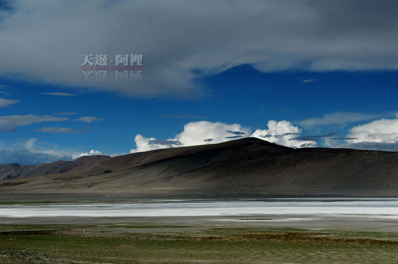 dsc_0930.jpg