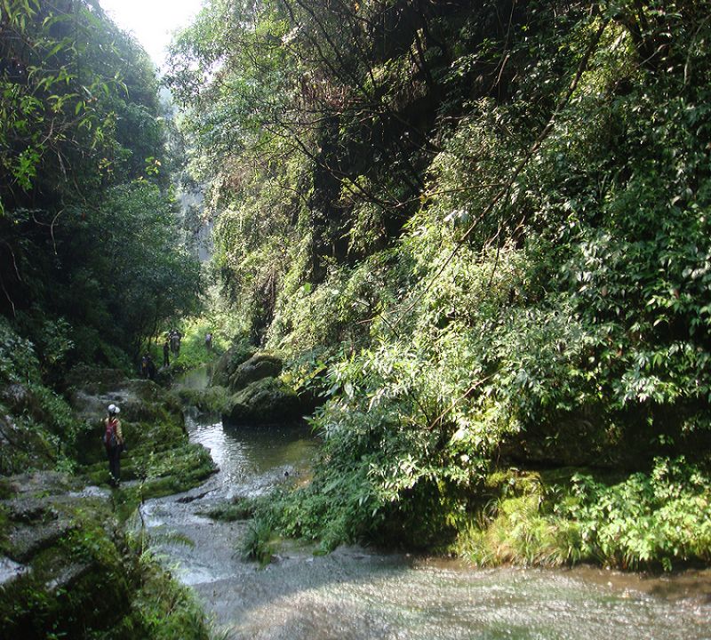 dsc05047.jpg