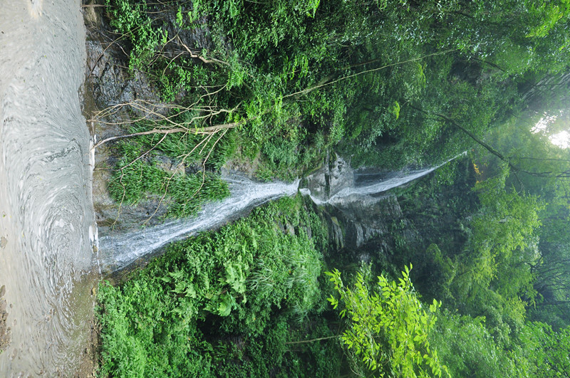 dsc_0696_.jpg