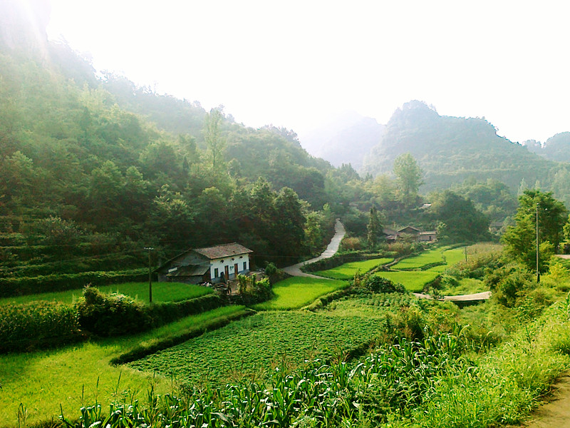 20110813130_.jpg