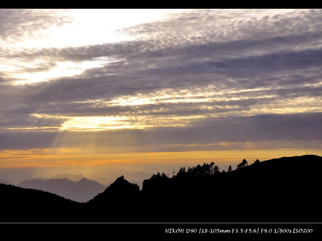 dsc_0096.jpg