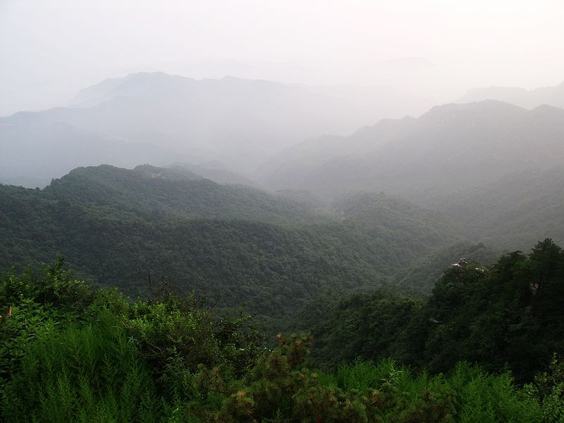 Ƭ 209.jpg