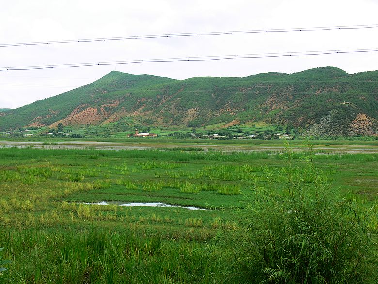 p1150887.jpg