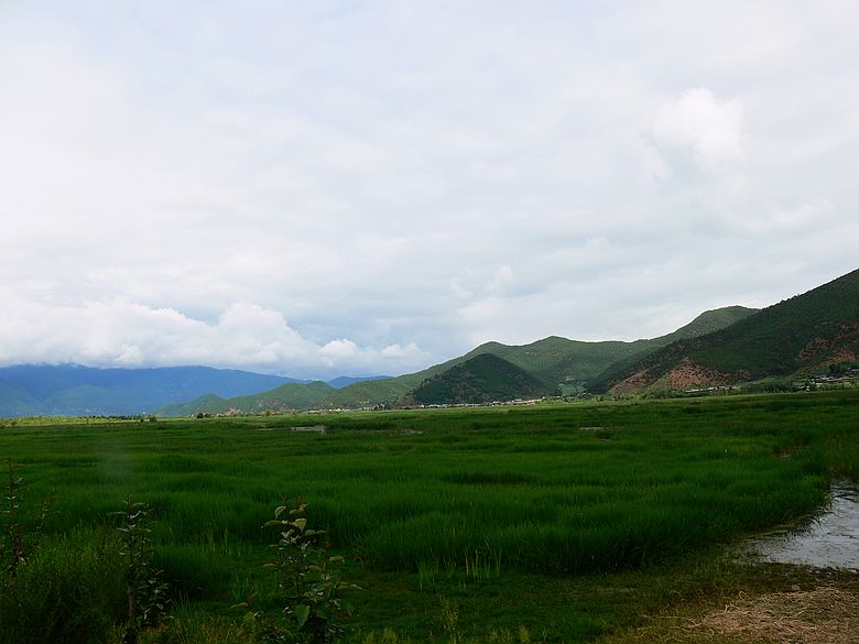 p1150892.jpg