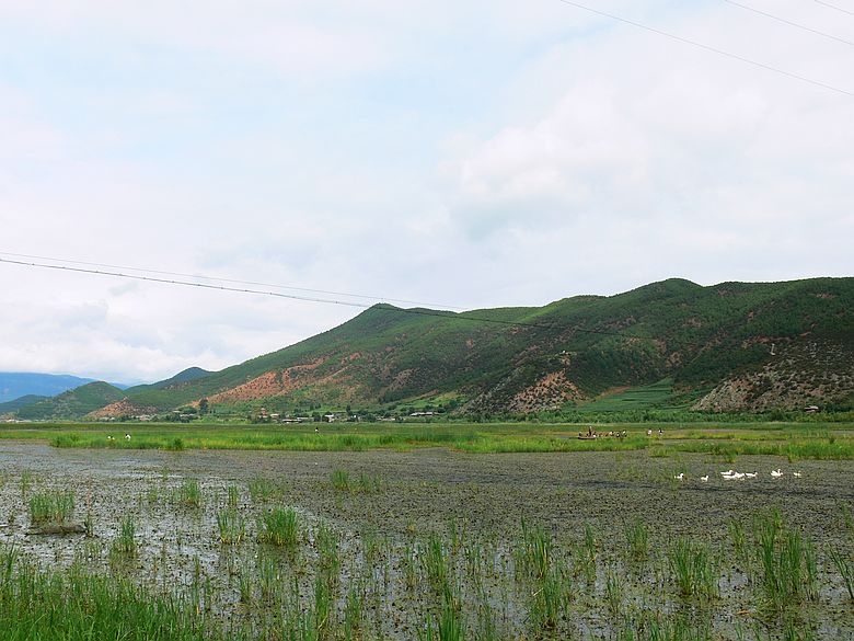 p1150882.jpg