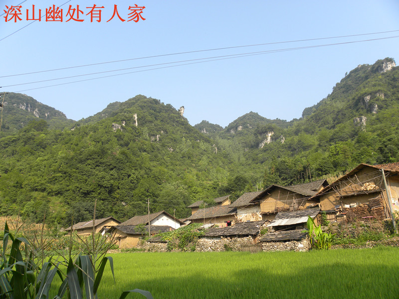 dscn1913_.jpg