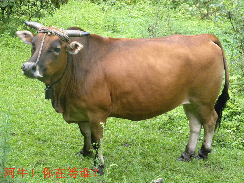 dscn1923_.jpg