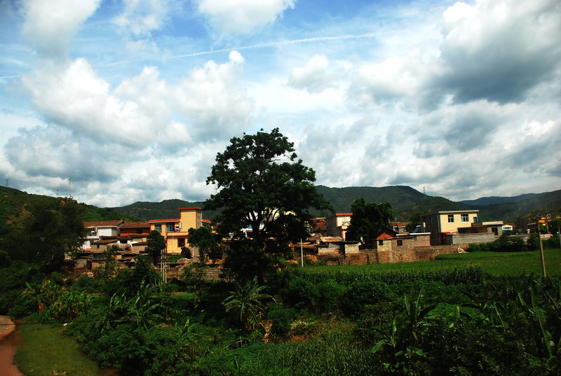 dsc_0003.jpg