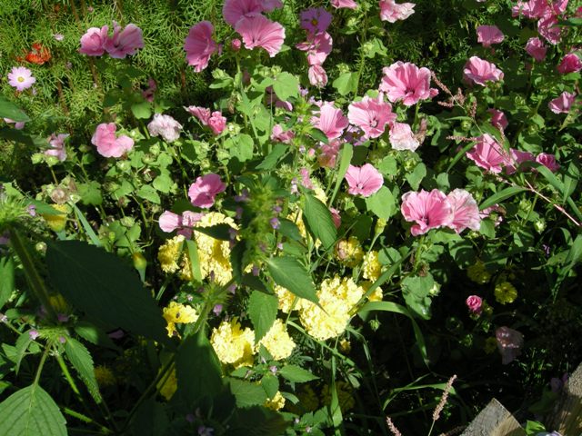 dscn4534.jpg