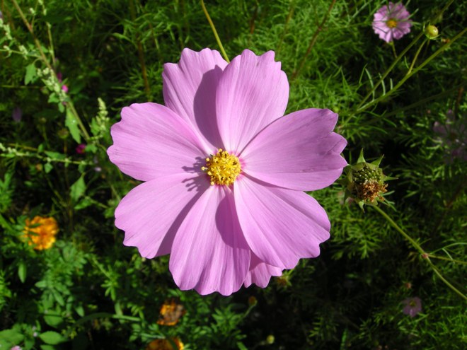 dscn4538.jpg