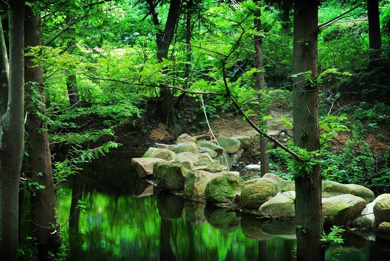 dsc_2438.jpg