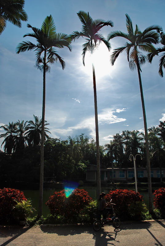dsc_0162.jpg
