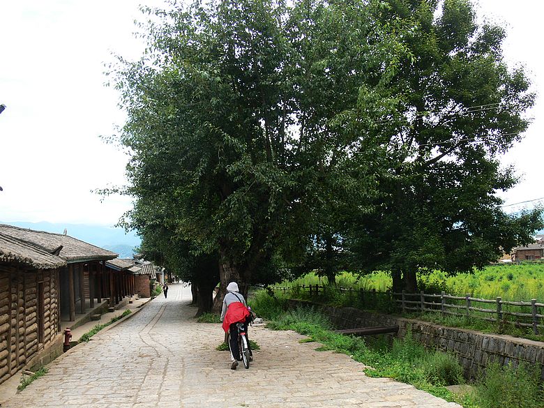 p1150955.jpg