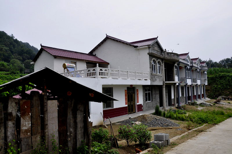 _dsc0595·.jpg