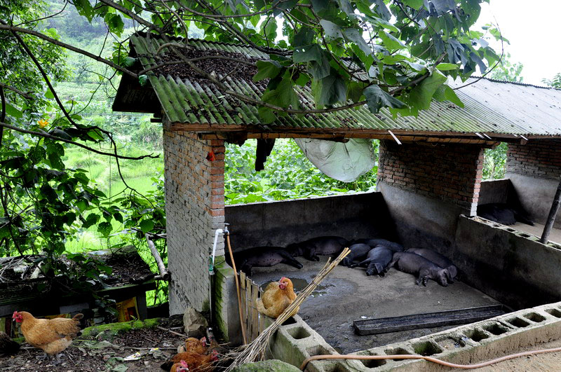 _dsc0630Ȧ.jpg