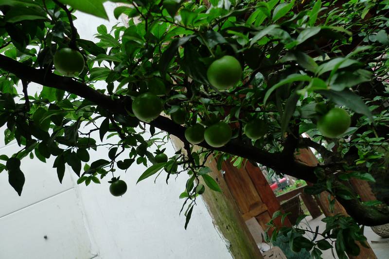 p1040307.jpg