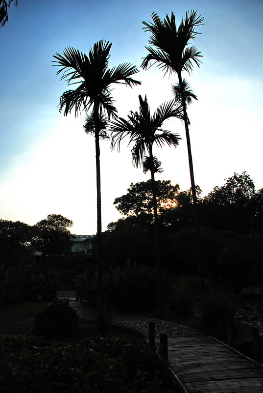 dsc_0290.jpg