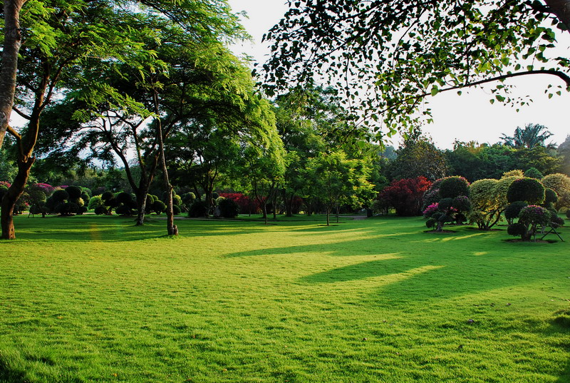 dsc_0314.jpg