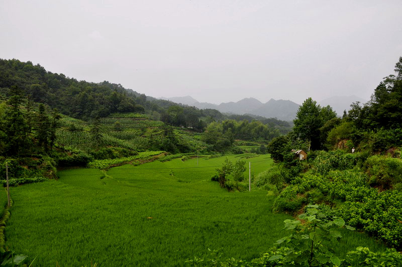_dsc0641԰.jpg