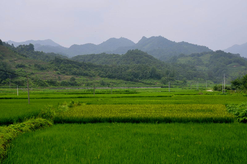 _dsc0652԰.jpg