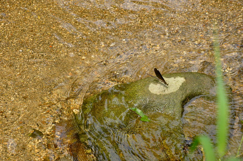 _dsc0671.jpg