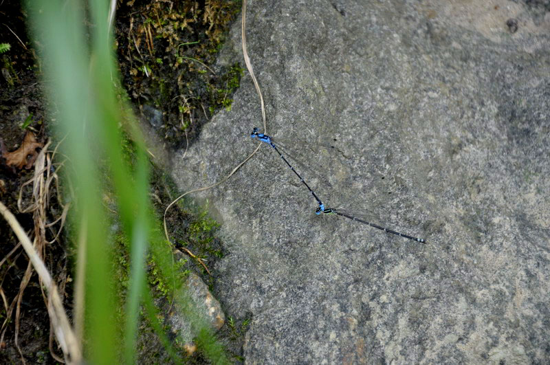 _dsc06903.jpg