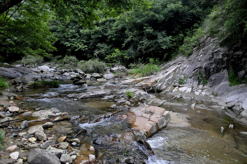 _dsc0794Сys.jpg