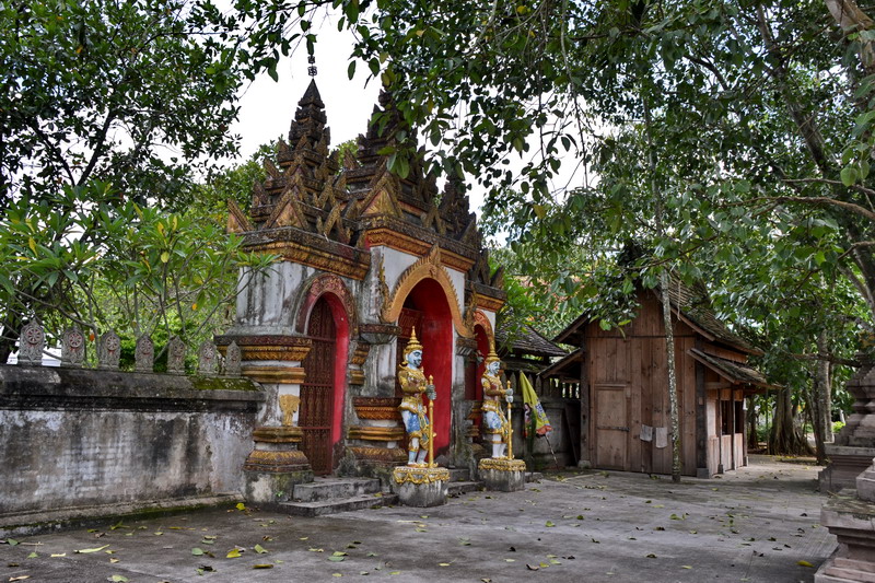 dsc_1955.jpg