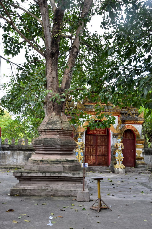 dsc_1959.jpg