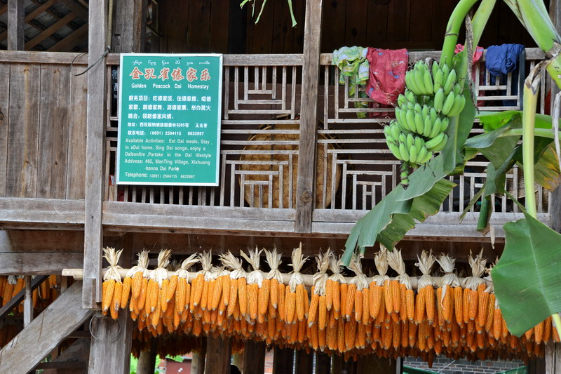 dsc_1961.jpg
