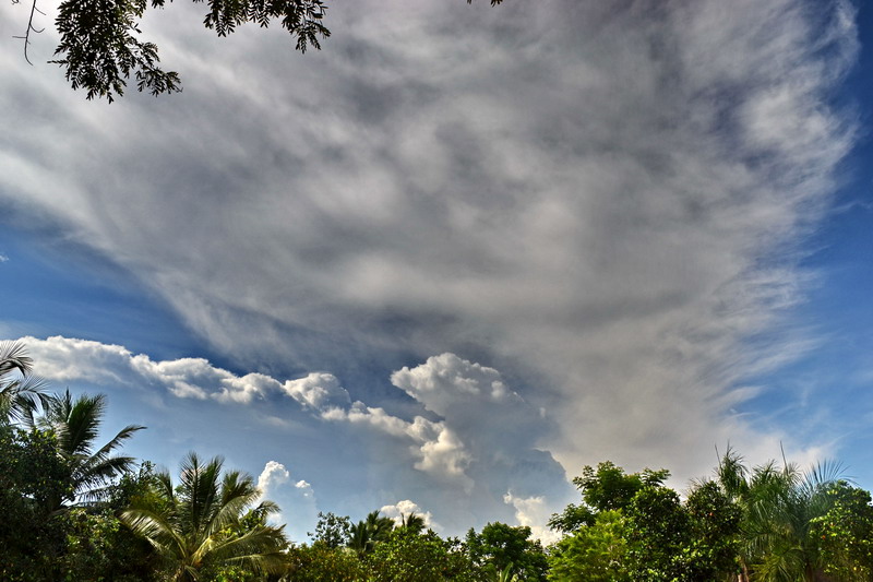 dsc_1973.jpg