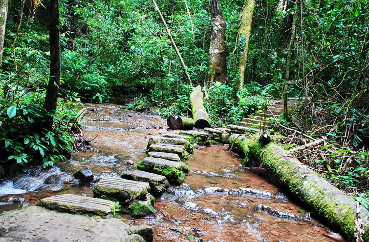 dsc_0565.jpg