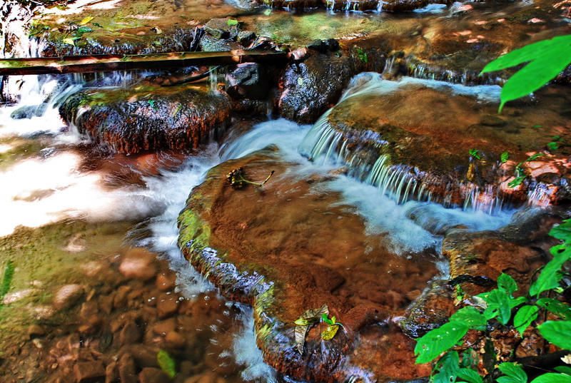 dsc_0589.jpg
