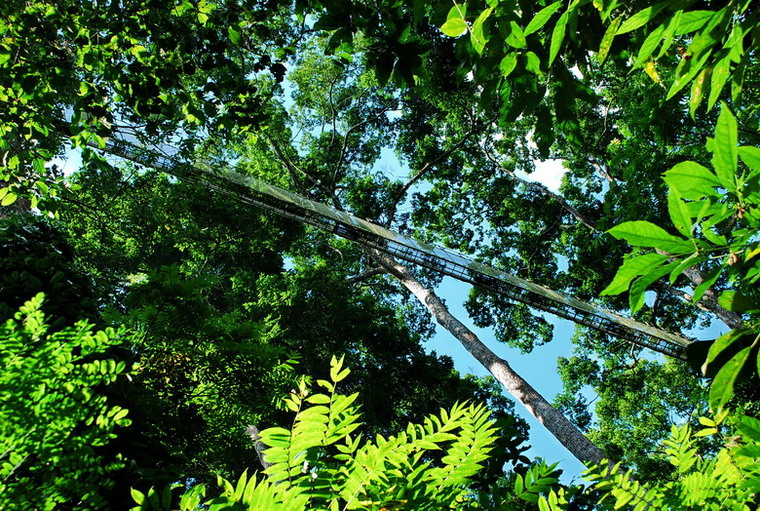 dsc_0623.jpg