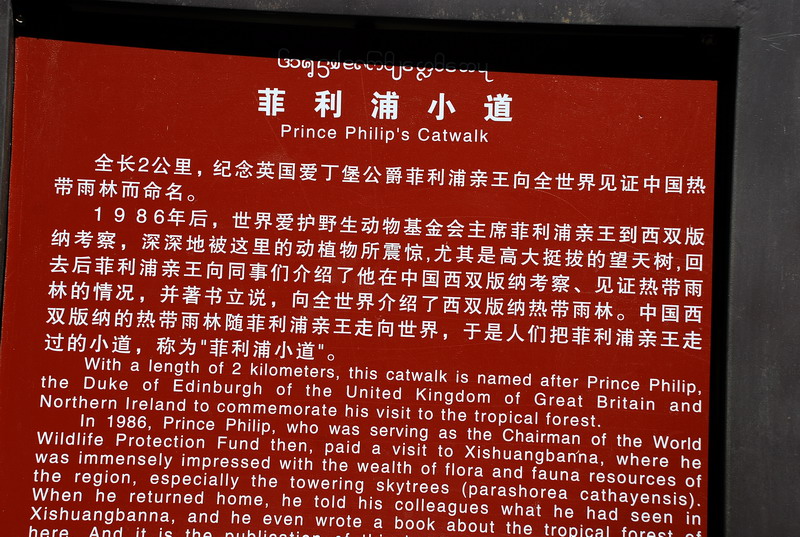 dsc_0772.jpg