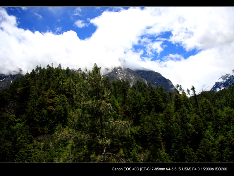img_4407.jpg