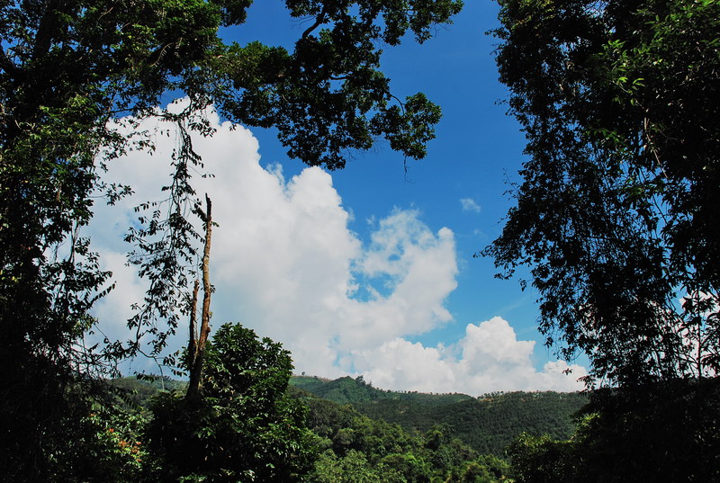 dsc_0702.jpg