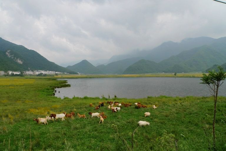 p1080260.jpg