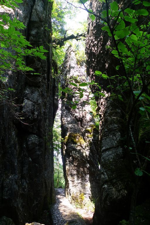 p1080169.jpg
