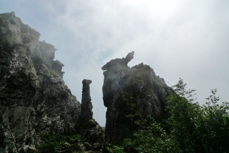 p1080142.jpg