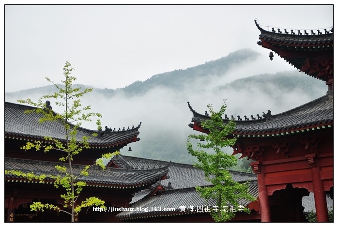 neo_img_dsc_7703.jpg