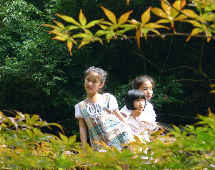 p1010373.jpg