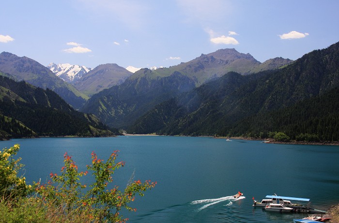 img_3863.jpg